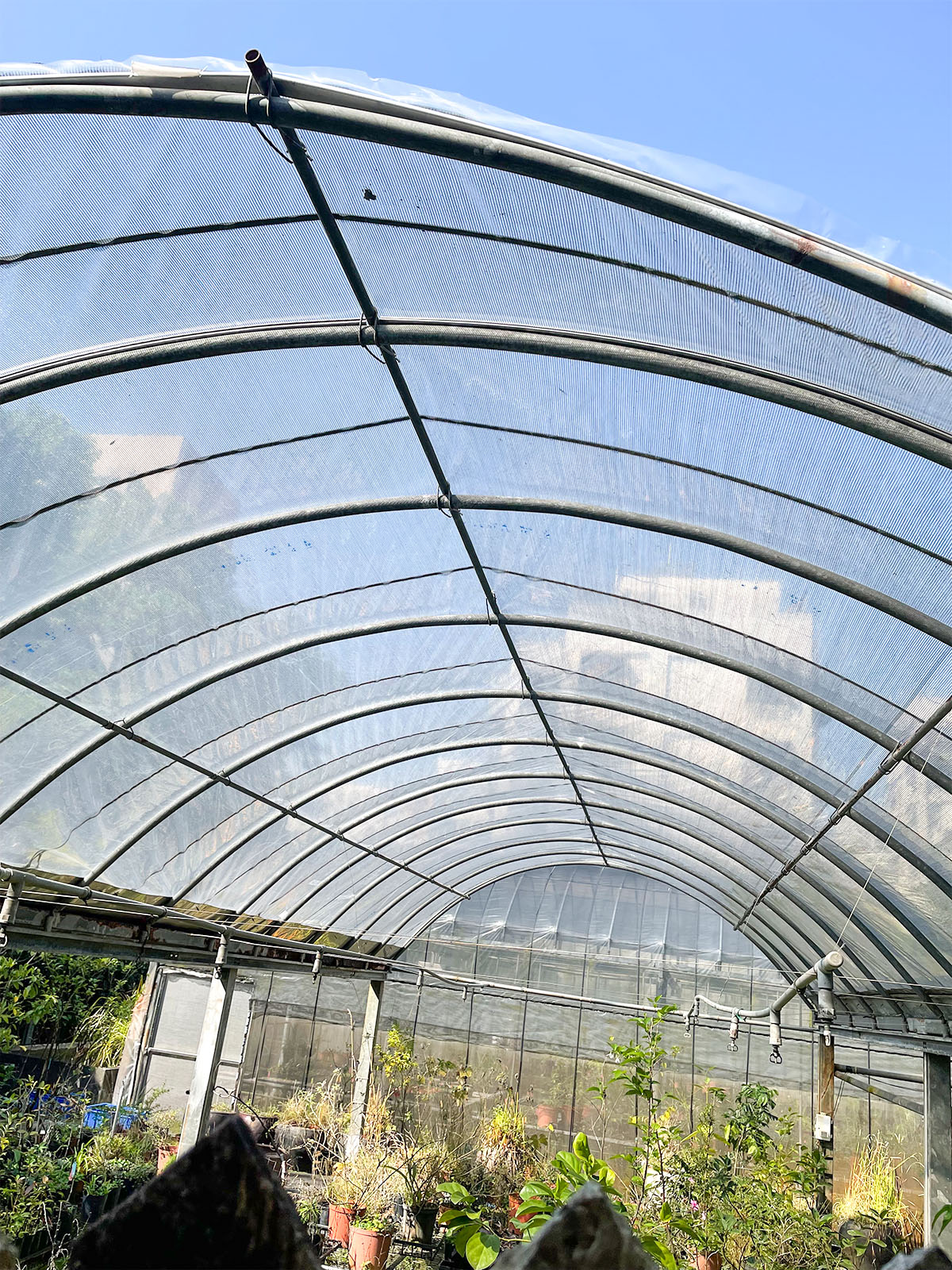 頂樓屋頂黑網不銹鋼架